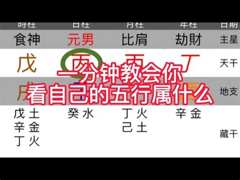 如何知道自己屬什麼|五行屬性解惑秘笈，教你輕鬆辨別你的命理本色